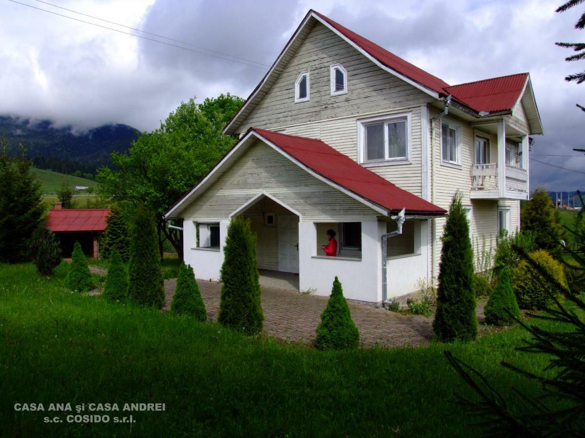 Casa Andrei Vatra Dornei Villa Dealu Floreni Bagian luar foto