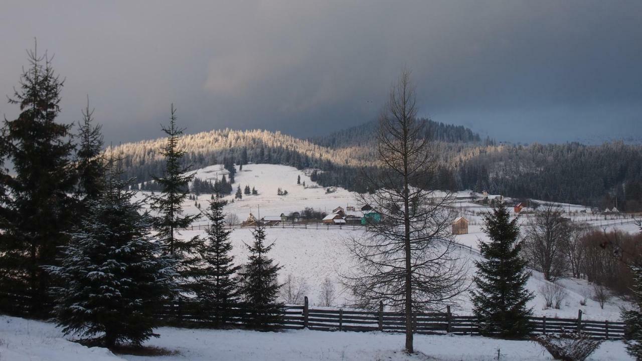 Casa Andrei Vatra Dornei Villa Dealu Floreni Bagian luar foto
