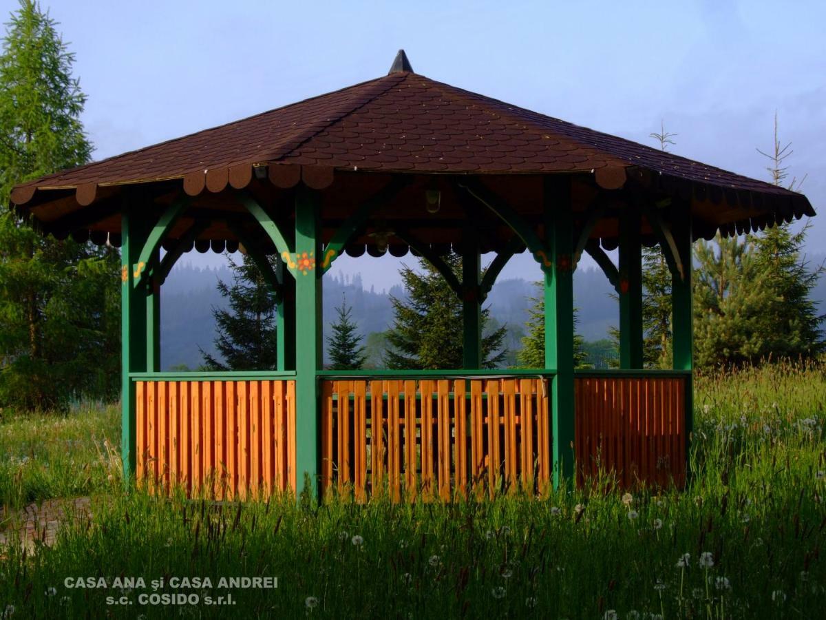 Casa Andrei Vatra Dornei Villa Dealu Floreni Bagian luar foto